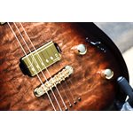 Godin Artisan ST-II WhiskeyBurst EN Quilted Maple Top Guitare Électrique avec Étui