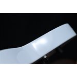 ESP LTD M-1000 Ebony Fingerboard Snow White Micros EMG Guitare Électrique #IW20060338
