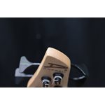 Dingwall Combustion 5-String Quilt Maple Top Whalepoolburst Basse Électrique avec Étui