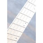 Dingwall Combustion 5-String Quilt Maple Top Whalepoolburst Basse Électrique avec Étui