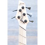 Dingwall Combustion 5-String Quilt Maple Top Whalepoolburst Basse Électrique avec Étui