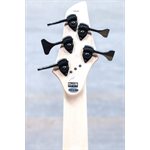 Dingwall Combustion 5-String Quilt Maple Top Whalepoolburst Basse Électrique avec Étui