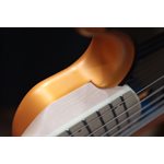 Dingwall Adam "Nolly" Getgood NG3 6 Cordes Matte Lambo Orange Basse Électrique avec Étui