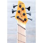 Dingwall Adam "Nolly" Getgood NG3 6 Cordes Matte Lambo Orange Basse Électrique avec Étui