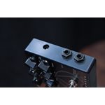 Darkglass Electronics Alpha-Omega Dual Basse Préamplificateur/Overdrive Pédale d'Effet