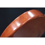 Godin Exit 22-S Performance Series MN Natural Mahogany Guitare Électrique avec Étui
