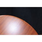 Godin Exit 22-S Performance Series MN Natural Mahogany Guitare Électrique avec Étui