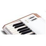 Arturia AstroLab 61 Clavier de Scène Avant-gardiste