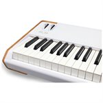 Arturia AstroLab 88 Avant-garde Stage Keyboard