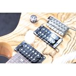 PRS SE Custom 24 Burled Ash Limited Edition Natural Guitare Électrique avec Étui #G110063