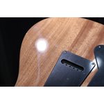 PRS SE Custom 24 Burled Ash Limited Edition Natural Guitare Électrique avec Étui #G110063