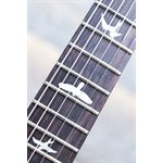 PRS SE Studio Standard Mahogany Solidbody Sage Green Guitare Électrique avec Étui