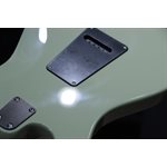 PRS SE Studio Standard Mahogany Solidbody Sage Green Guitare Électrique avec Étui