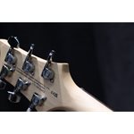 PRS SE Studio Standard Mahogany Solidbody Sage Green Guitare Électrique avec Étui