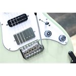 PRS SE Studio Standard Mahogany Solidbody Sage Green Guitare Électrique avec Étui