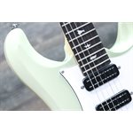 PRS SE Studio Standard Mahogany Solidbody Sage Green Guitare Électrique avec Étui