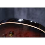 PRS SE Studio Figured Maple Top Orange Tiger Smokeburst Guitare Électrique avec Étui