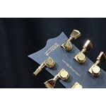 ESP LTD EC-1000VB Vintage Black EMG Active Pickups Gold Hardware Guitare Électrique